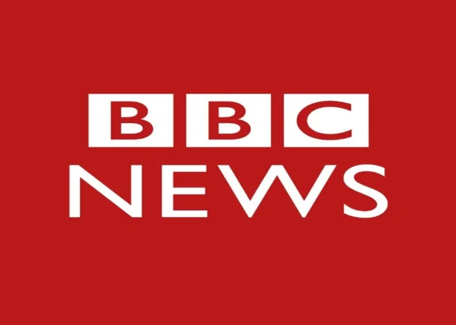 China News Service