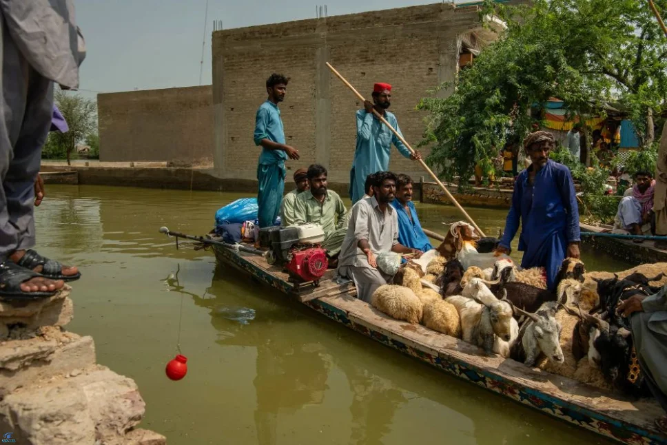 Pakistan Flood 2025 News