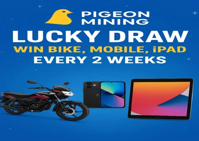 Pigeon Mining Lucky Draw