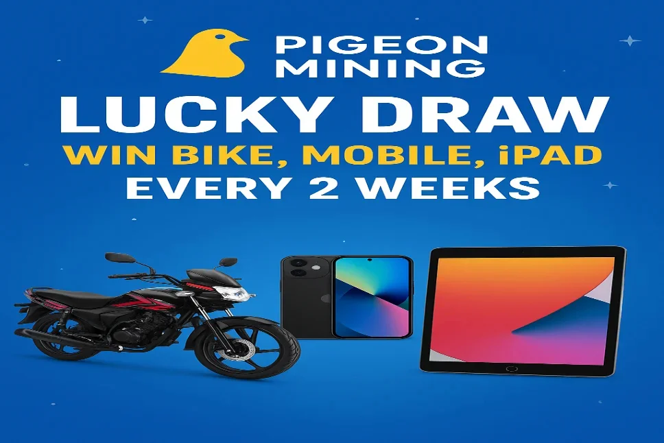 Pigeon Mining Lucky Draw